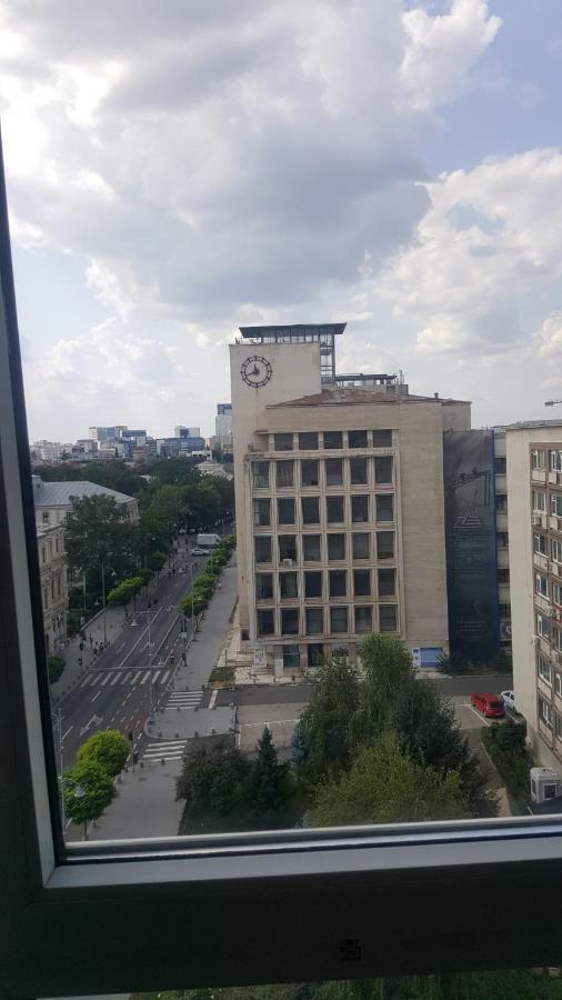 Calea Victoriei Studio Bucureşti Ngoại thất bức ảnh